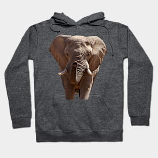 Elephant (No Background) Hoodie